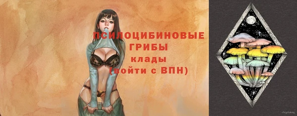 трава Наволоки