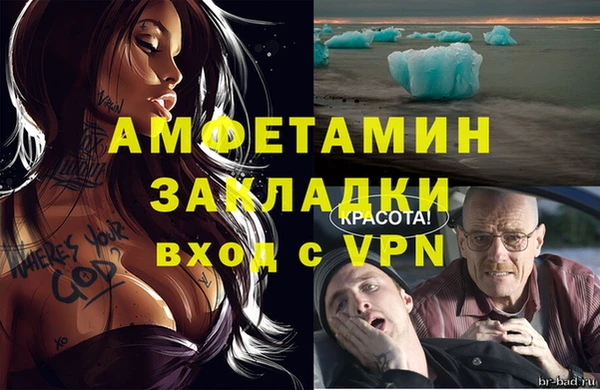 трава Наволоки