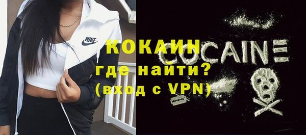трава Наволоки