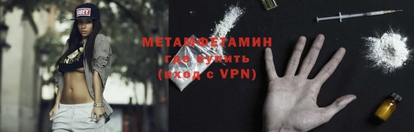 прущие грибы Надым