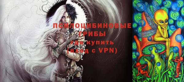 прущие грибы Надым