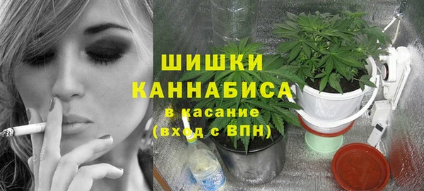 прущие грибы Надым