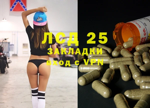 прущие грибы Надым