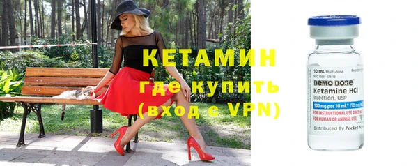 трава Наволоки