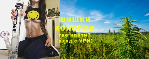 трава Наволоки