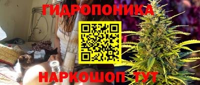 прущие крисы Гудермес