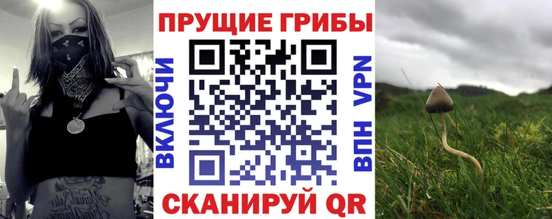 Псилоцибиновые грибы GOLDEN TEACHER  Астрахань 