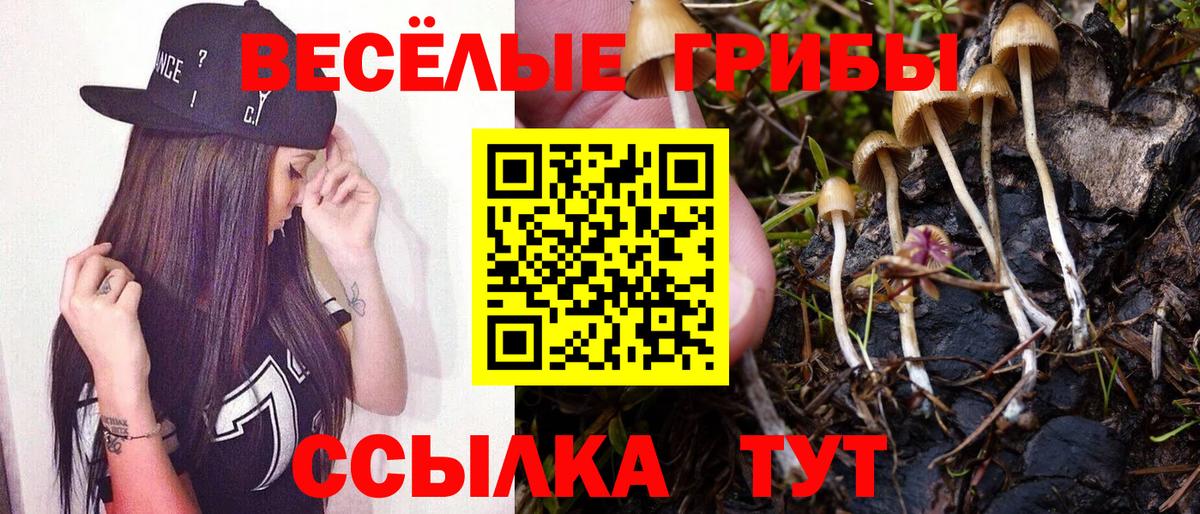 Галлюциногенные грибы Cubensis Астрахань
