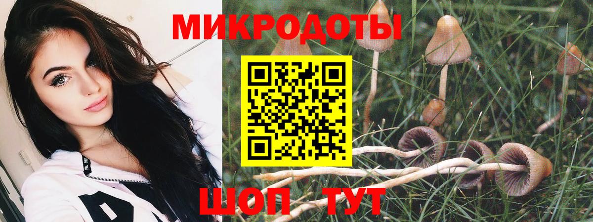 Псилоцибиновые грибы мицелий Астрахань