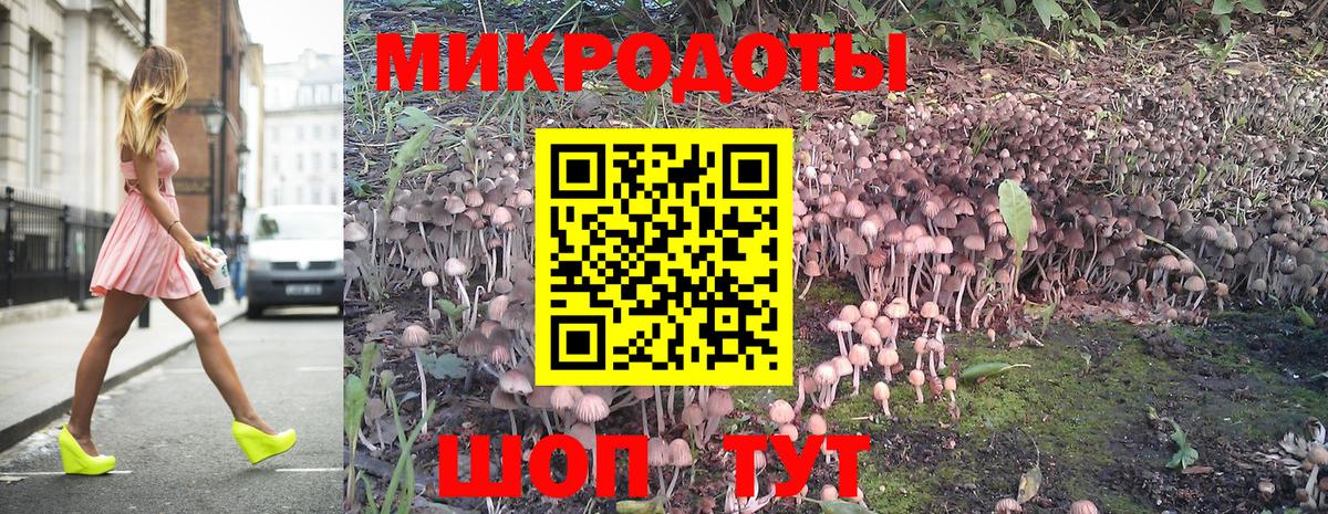 Псилоцибиновые грибы Psilocybine cubensis  Астрахань 